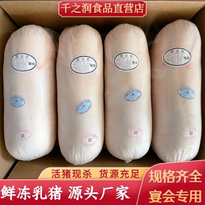 热销新鲜烤乳猪整只小猪仔 酒店商用冰鲜乳猪 烤乳猪食材酒店批发图2