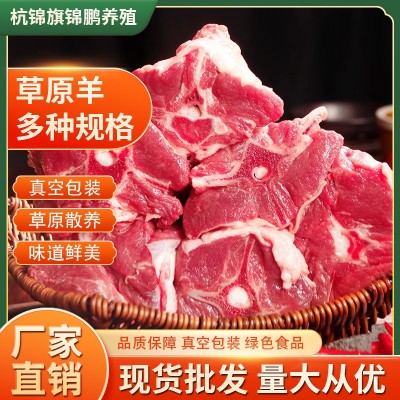 草原羊肉 内蒙古羊肉 杭锦旗锦鹏养殖肉质鲜美不膻不腻现货批发