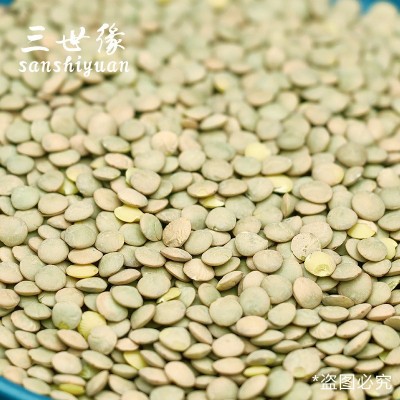 绿扁豆 精选五谷杂粮豆干扁豆 绿扁豆 厂家小扁豆批发散装图2