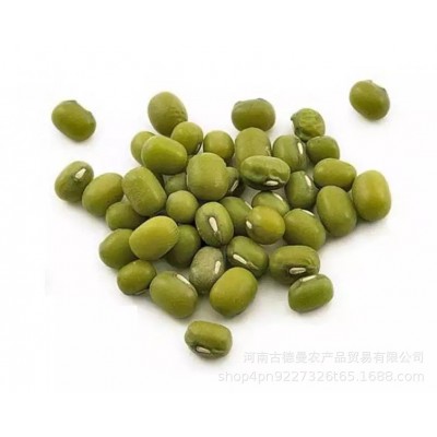 肯尼亚芽豆图5
