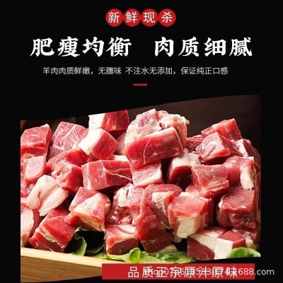 碱滩羊 内蒙古生鲜散养羔羊6-8个月羊酮体整只图3