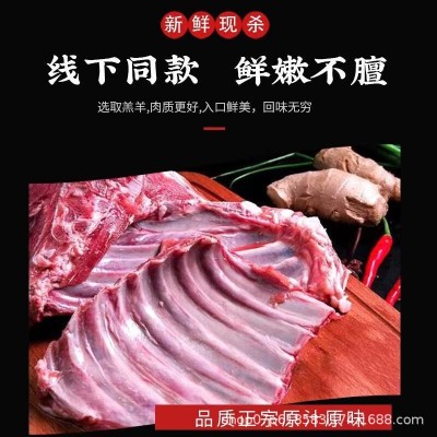 碱滩羊 内蒙古生鲜散养羔羊6-8个月羊酮体整只图2