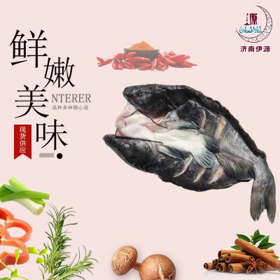 酒店半成品开背清江鱼 私房菜烤鱼店商用清江鱼 12条装鮰鱼清江鱼图3