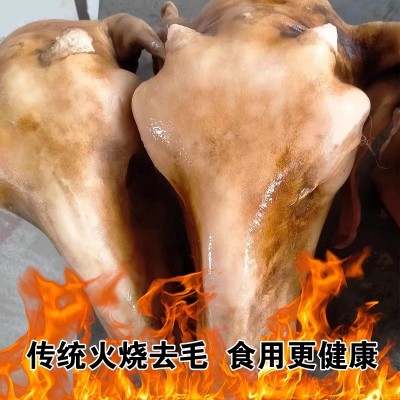 清真内蒙古散养生羊头整只新鲜冷冻整个羔羊头肉4斤羊杂sheep hea图2