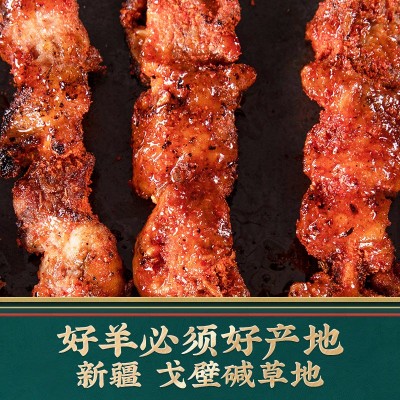 喀小主新疆红柳枝羊肉串300g碱地羊肉串正宗 高端烧烤食材大串图4