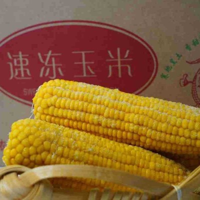 黄玉米源头货源厂家批发东北黄玉米批发东北速冻黄玉米新鲜速冻图2