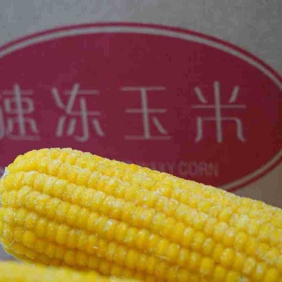 黄玉米源头货源厂家批发东北黄玉米批发东北速冻黄玉米新鲜速冻图3