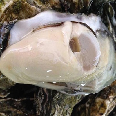 批发生蚝海鲜大个海蛎子带壳牡蛎肉新鲜水产非一整箱批发图4