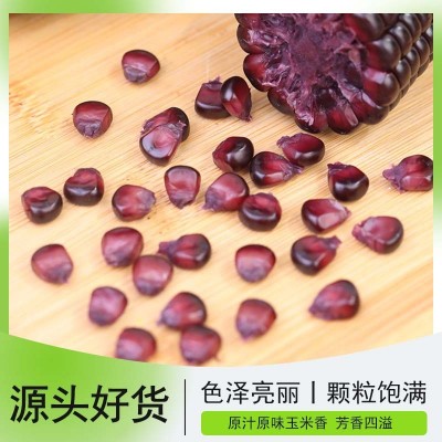 山西杂粮之都黑糯玉米BALLON REAR贝朗熊 黑糯玉米穗真空包装220g图2