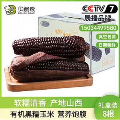 贝朗熊【新鲜有机黑糯玉米】软糯香甜产自山西 8根礼盒装图2