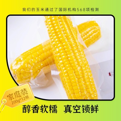 田里有草玉米厂家甜糯玉米批发即食玉米真空玉米招代理一件代发图2