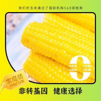 田里有草玉米厂家甜糯玉米批发即食玉米真空玉米招代理一件代发图3