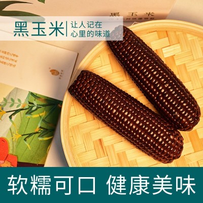 田里有草黑玉米甜糯玉米即食真空玉米产地批发招代理一件代发图2