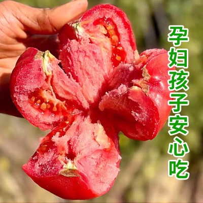 凉慕攀枝花普罗旺斯番茄自然熟西红柿露天新鲜洋柿子薄皮水果蔬菜图3