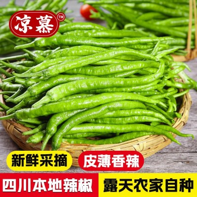 新鲜青辣椒青线椒薄皮辣椒尖椒二荆条辣椒5斤现摘蔬菜辣椒长线椒图2