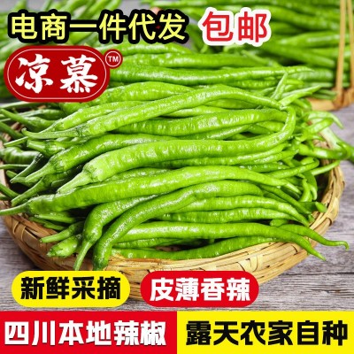 新鲜青辣椒青线椒薄皮辣椒尖椒二荆条辣椒5斤现摘蔬菜辣椒长线椒