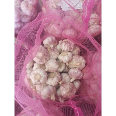 金乡大蒜 紫皮大蒜 产地工厂直发