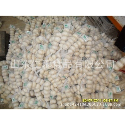 出口埃及纯白大蒜5.0cm，5头/200克*50=10公斤纸箱，代办使馆认证图4