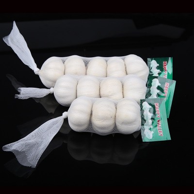 金乡保鲜大蒜紫皮大蒜白皮大蒜 garlic factory图3