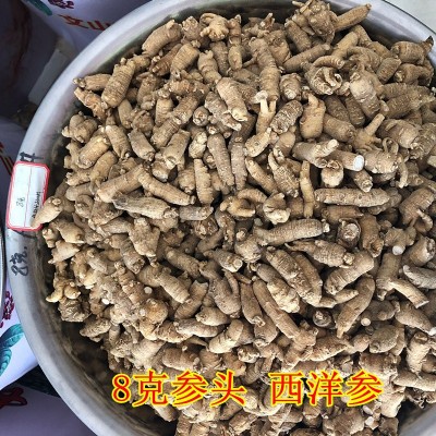 批发西洋参粒头 长白山西洋参段花旗参500克可免费切片图5