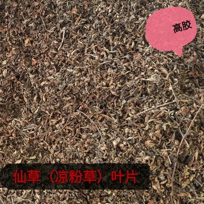 福建仙草凉粉草叶片0.5kg 高胶无土 做烧仙草冻 龟苓膏 果冻布丁图3