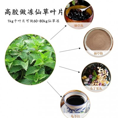 福建仙草凉粉草叶片0.5kg 高胶无土 做烧仙草冻 龟苓膏 果冻布丁图2
