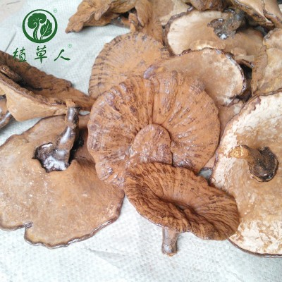 福建椴木紫灵芝赤灵芝 色泽饱满带粉短脚灵芝 散装短柄清香紫灵芝图4