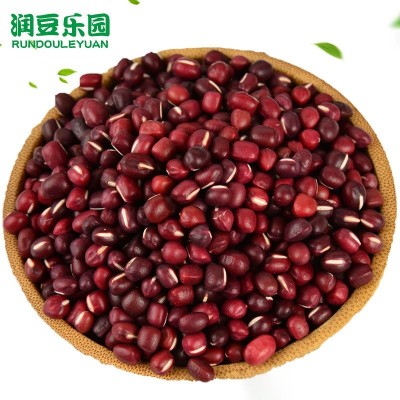 整箱批发2500g五谷杂粮东北大豆米类黄豆杂粮豆浆包磨粉熟原料图4