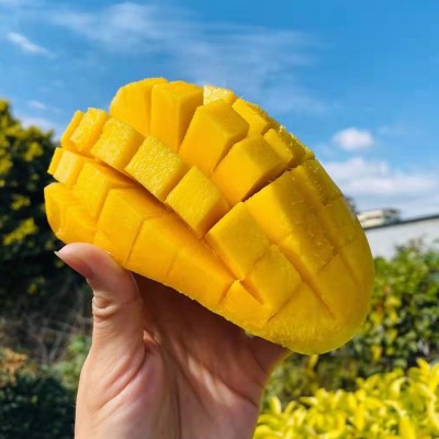 海南金煌芒果10斤水仙芒甜心芒青芒整箱大果当东北需自提图3
