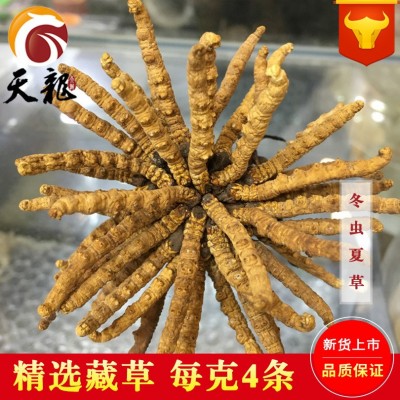 西藏冬虫夏草4000条 多规格综合接链 单品10克起售图4
