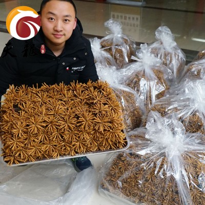 西藏冬虫夏草4000条 多规格综合接链 单品10克起售图3