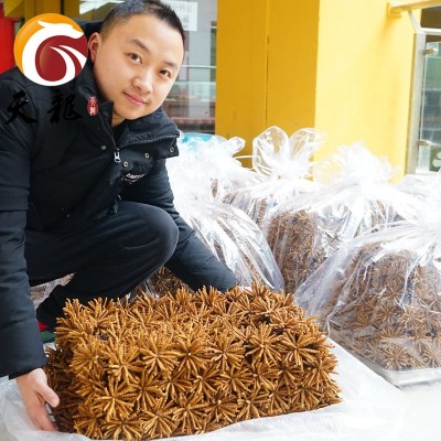 西藏冬虫夏草4000条 多规格综合接链 单品10克起售图5