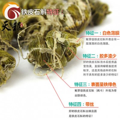 铁皮石斛图2