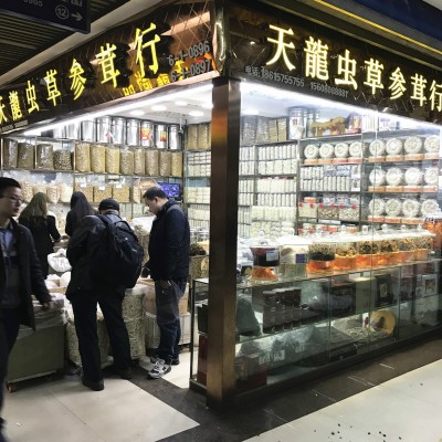 铁皮石斛图4
