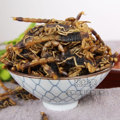 蝎子全虫中药材蝎子散装淡盐水批发全蝎大货批发农产品干货蝎子图3
