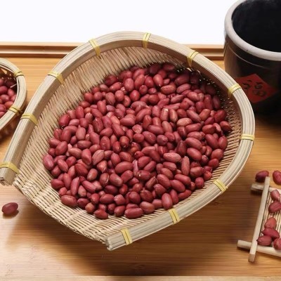 现磨五谷杂粮豆浆粉专用原料 厂家供应红皮花生 低温烘培熟花生米