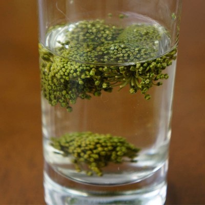 2023新三七花茶100克装 云南特产三七花 文山田七花 3-4年大朵花图2