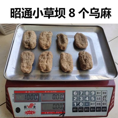山中宝产地批发天麻 云南特产昭通小草坝天麻丽江天麻 湖北天麻粉图4