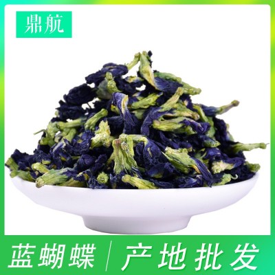 蓝蝴蝶 蝶豆花 碟豆花茶 蓝蝴蝶花茶2023新货