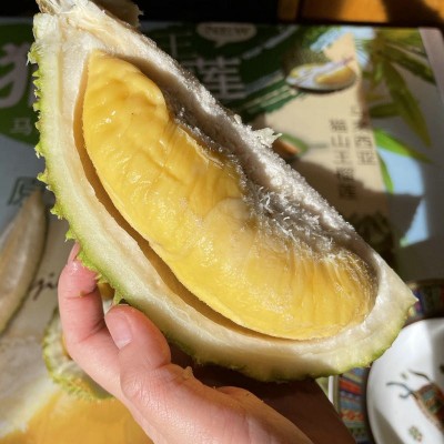 【顺丰】猫山王榴莲430g盒装果肉马来西亚进口新鲜水果液氮冷冻图3