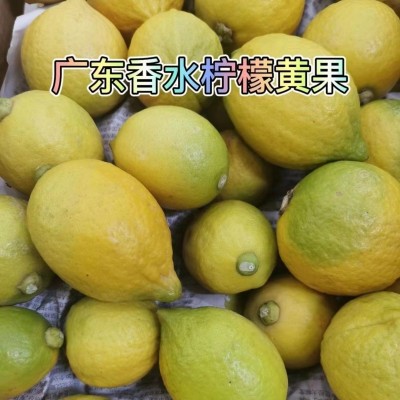 广东香水柠檬批发二级果黄果花皮青果奶茶店专用实惠