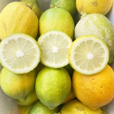 广东香水柠檬批发二级果黄果花皮青果奶茶店专用实惠图3