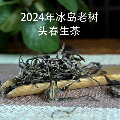 2024年头春冰岛老树生普洱茶私藏散装茶叶 蜜兰花香批发 老农古林图2
