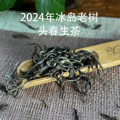2024年头春冰岛老树生普洱茶私藏散装茶叶 蜜兰花香批发 老农古林图4