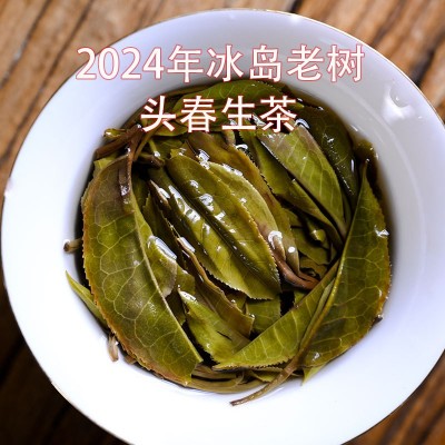 2024年头春冰岛老树生普洱茶私藏散装茶叶 蜜兰花香批发 老农古林图5