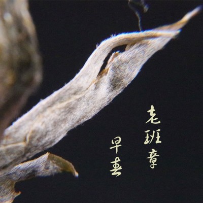 新茶头春云南普洱茶批发 生茶 老班章散茶老农古林500g