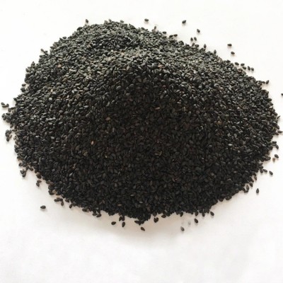 厂家直供熟黑芝麻批发新鲜日期颗粒饱满无杂质即食黑芝麻500克装图3