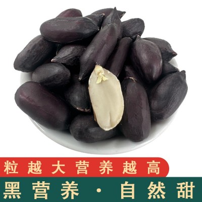 黑玉珍 正宗山东黑花生/云南富硒2023年新货生黑花生米 产地批发图5