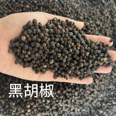 海南白胡椒香料白胡椒颗粒 黑胡椒 胡椒粒 香 辣厨房调料香料图5