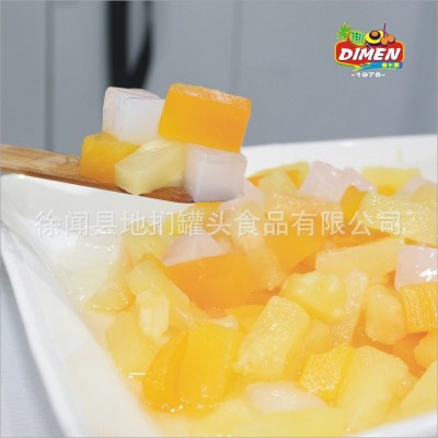 厨夫牌850克杂果罐头 热带水果杂锦 烘焙蛋糕装饰夹层水果 冰粥果图5